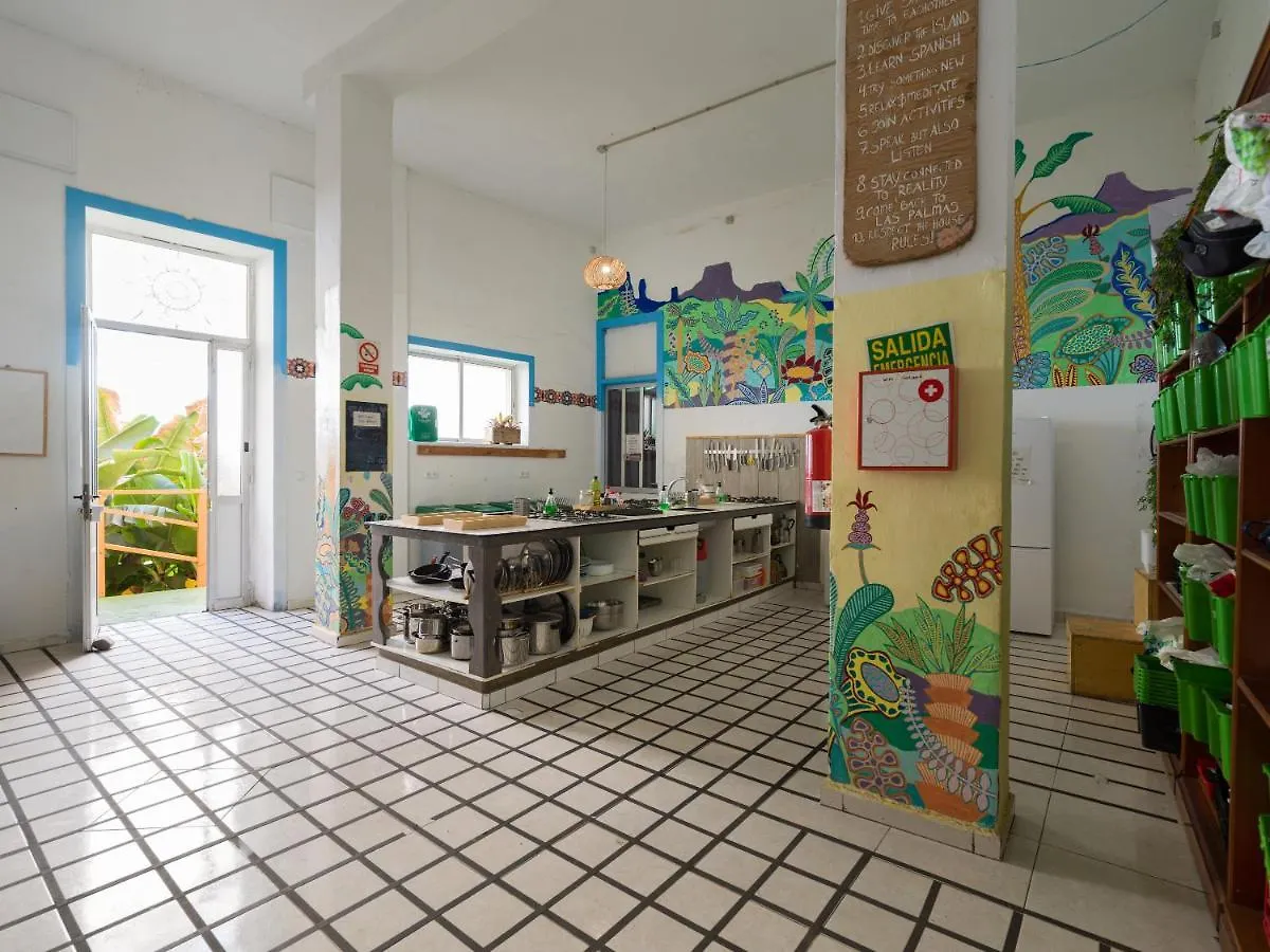 Jungle House Vandrarhem Las Palmas de Gran Canaria