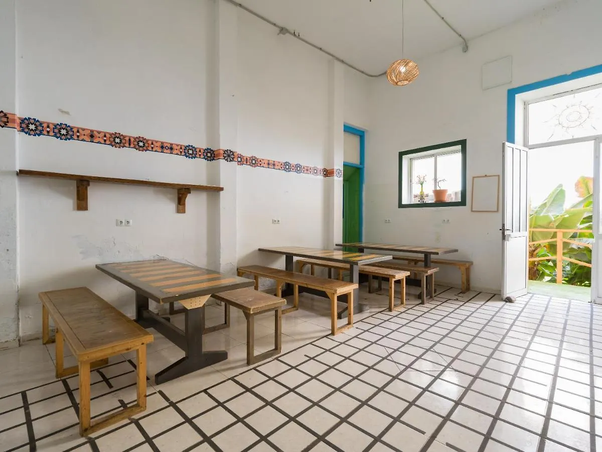 بيت شباب Jungle House لاس بالماس دي غران كاناريا