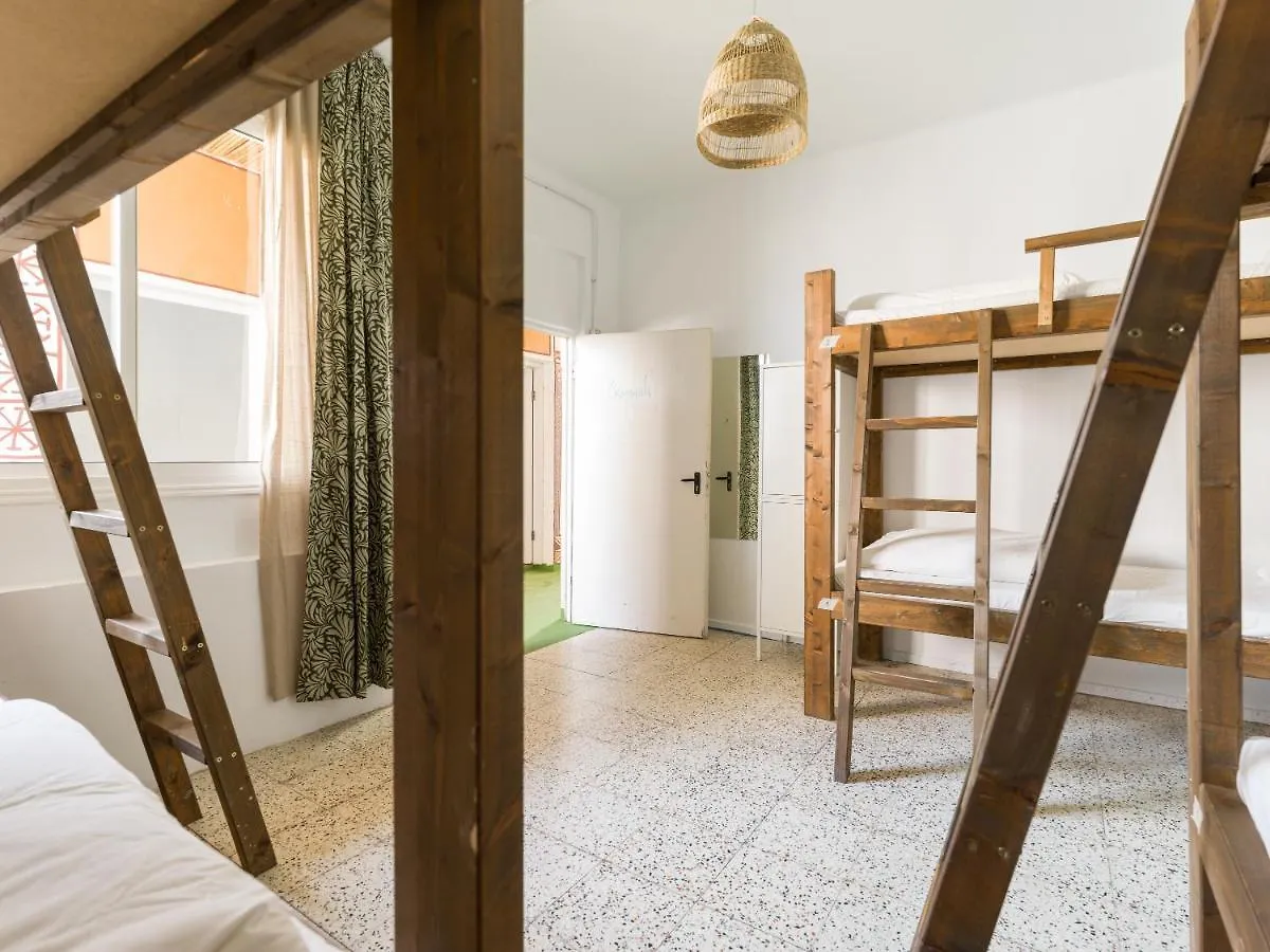 بيت شباب Jungle House لاس بالماس دي غران كاناريا