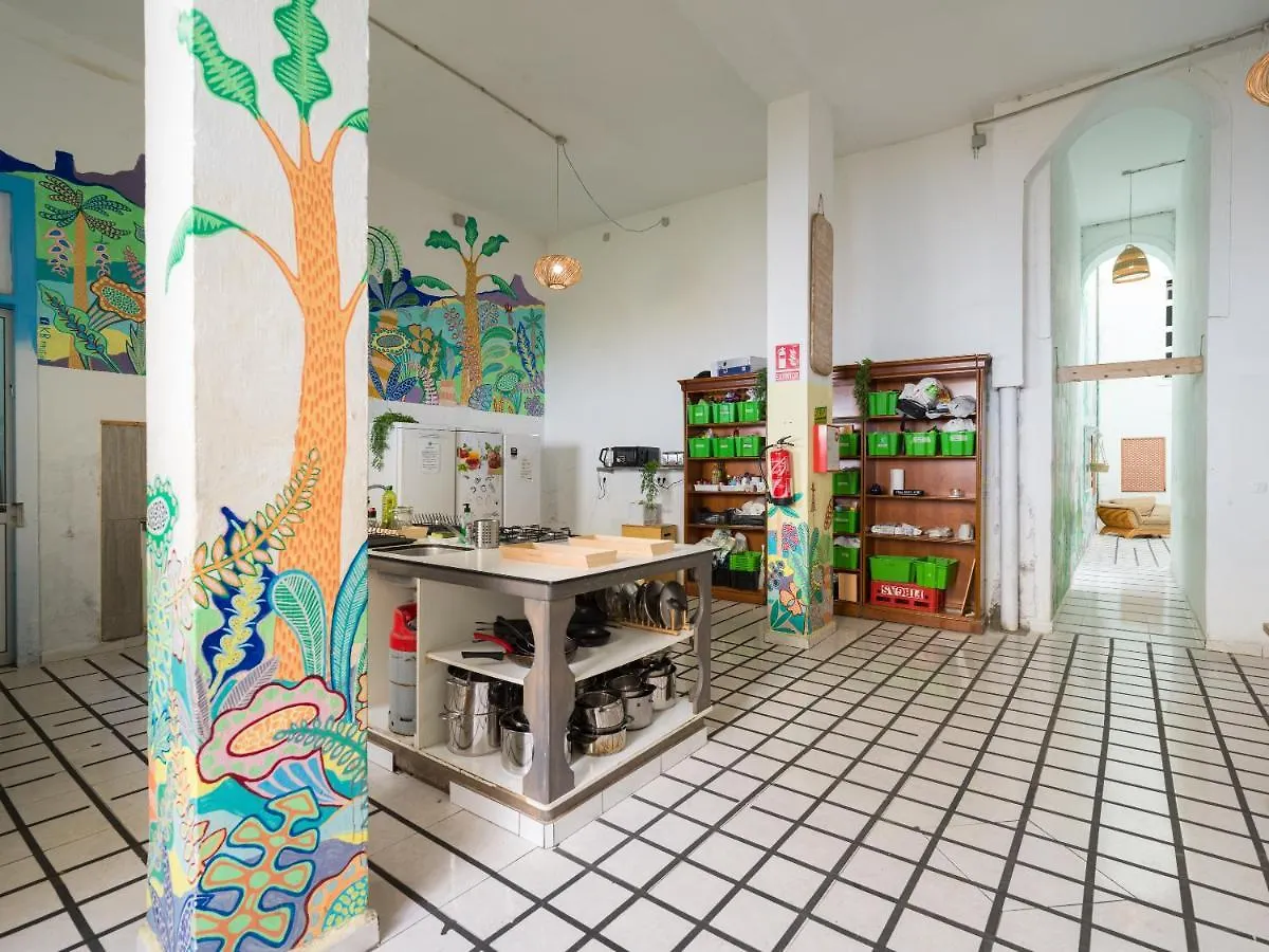 Jungle House Hostel Las Palmas de Gran Canaria Spain